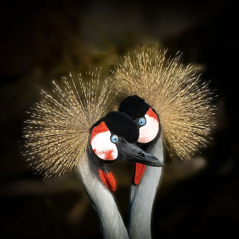 Makeup White Modern Wood Framed Art Print with Double Matting by Romaggi, Michel