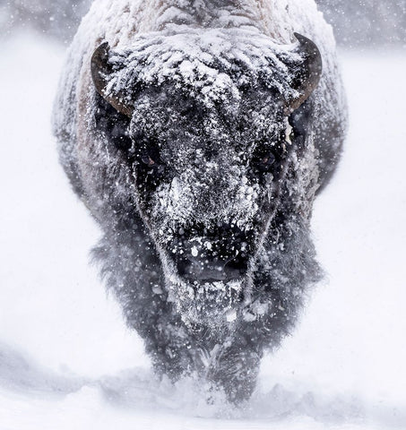 Headed. Your Way. White Modern Wood Framed Art Print with Double Matting by Gill, Barbara