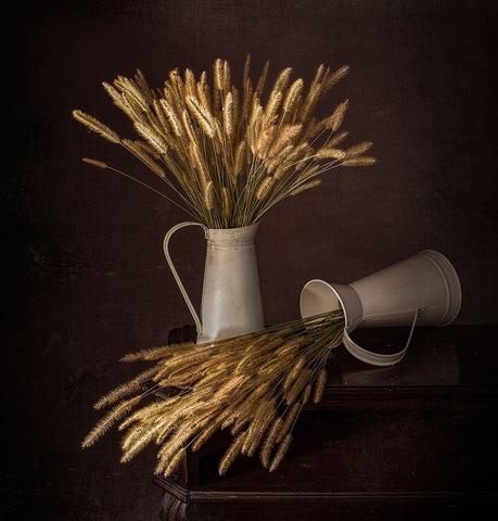 Solitary Black Ornate Wood Framed Art Print with Double Matting by Perfoncio, Margareth