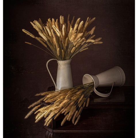 Solitary Black Modern Wood Framed Art Print with Double Matting by Perfoncio, Margareth