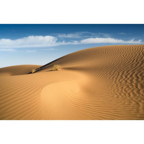 Curves Black Modern Wood Framed Art Print by Babaei, Hosein