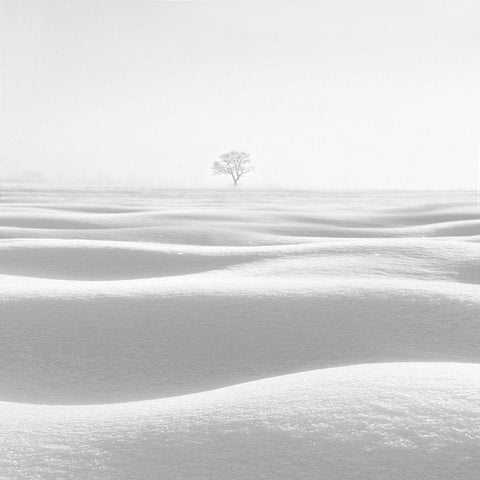 Fog White Modern Wood Framed Art Print by Nodeh, Mostafa