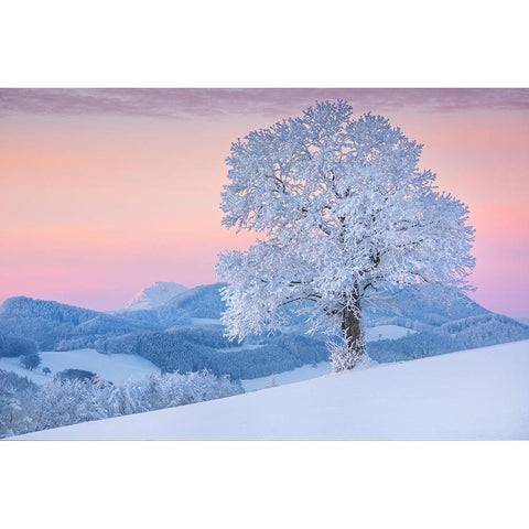 exposed Black Modern Wood Framed Art Print by Jochen, Burger