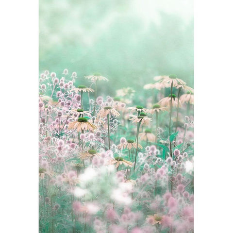 Melody Black Modern Wood Framed Art Print by Parker, Jacky
