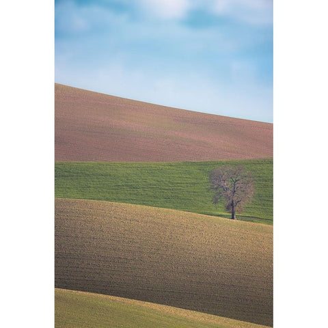 S.T. 025 Black Modern Wood Framed Art Print with Double Matting by Gray, Dorian