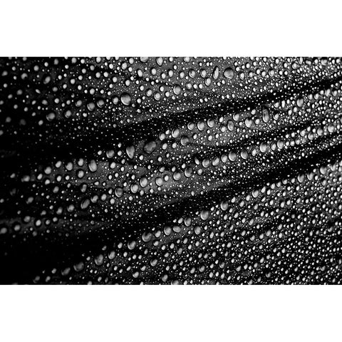 Cultured Rain Pearls Black Modern Wood Framed Art Print with Double Matting by Ciappara Lrps., Simon