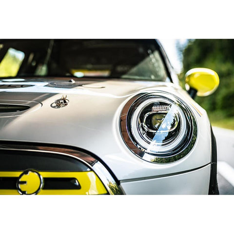 Mini Gold Ornate Wood Framed Art Print with Double Matting by Szabo, Attila