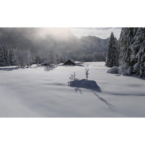 Misty morning Black Modern Wood Framed Art Print with Double Matting by Krivec, Ales