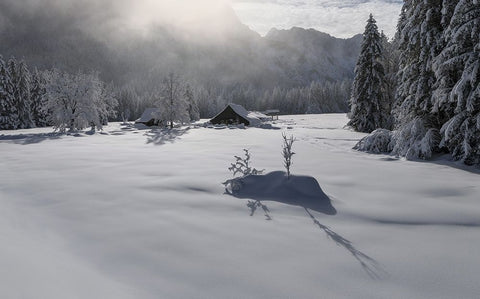 Misty morning White Modern Wood Framed Art Print with Double Matting by Krivec, Ales