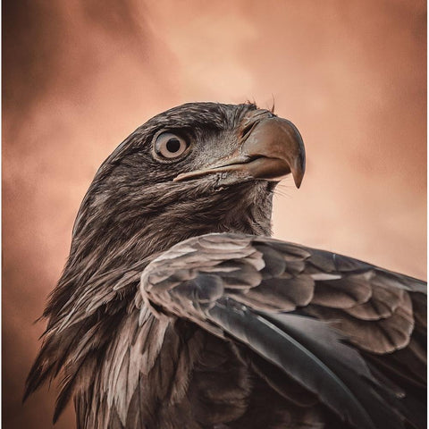 And His Eyes Saw Everything.... White Modern Wood Framed Art Print by Worseling, Natascha