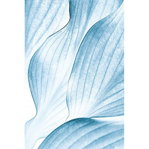 Icy Waves White Modern Wood Framed Art Print by Buelow, Beth