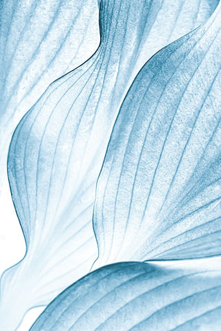 Icy Waves White Modern Wood Framed Art Print with Double Matting by Buelow, Beth