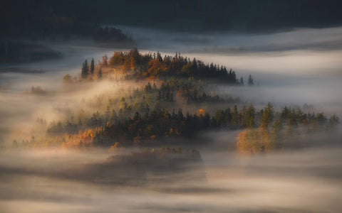 Autumn White Modern Wood Framed Art Print with Double Matting by Rojek, Tomasz