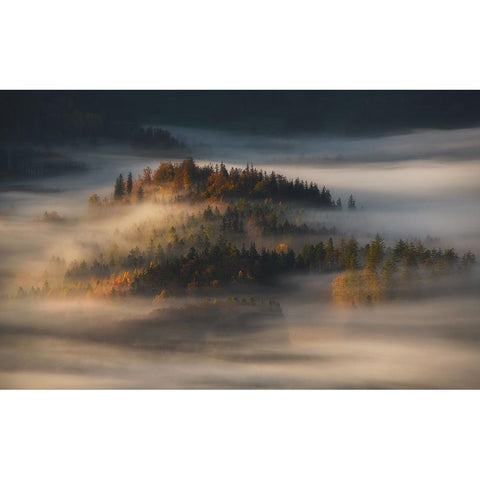 Autumn Black Modern Wood Framed Art Print with Double Matting by Rojek, Tomasz