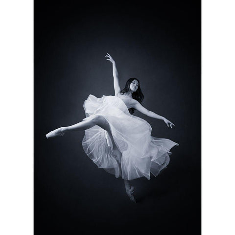 Flying Dance Black Modern Wood Framed Art Print with Double Matting by Meng, Mia