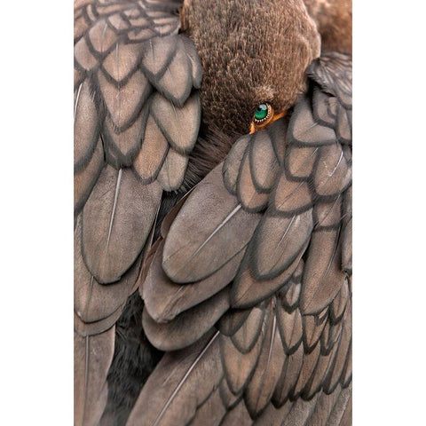 An Emerald With Diamonds White Modern Wood Framed Art Print by Marques, Amy