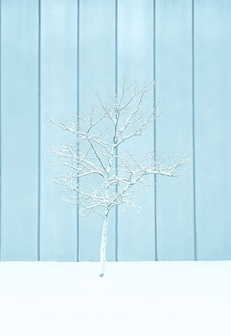 A lonely Snow Tree White Modern Wood Framed Art Print with Double Matting by Liu, Yanny