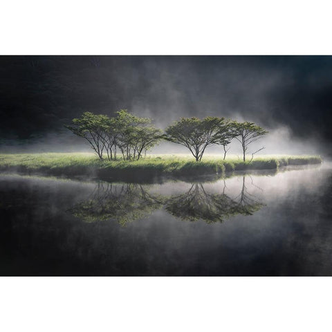 illuminate Black Modern Wood Framed Art Print with Double Matting by Nagase, Akira