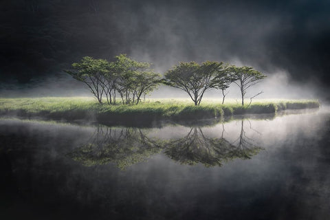 illuminate White Modern Wood Framed Art Print with Double Matting by Nagase, Akira