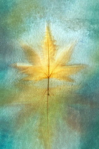 Reflections Black Ornate Wood Framed Art Print with Double Matting by Kiral, Cicek