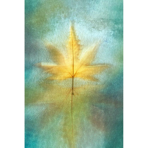 Reflections Black Modern Wood Framed Art Print with Double Matting by Kiral, Cicek