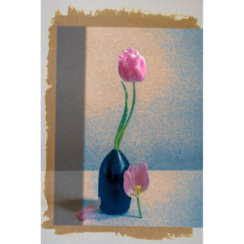 A Study in Contrast Black Modern Wood Framed Art Print with Double Matting by Ni, Birdie