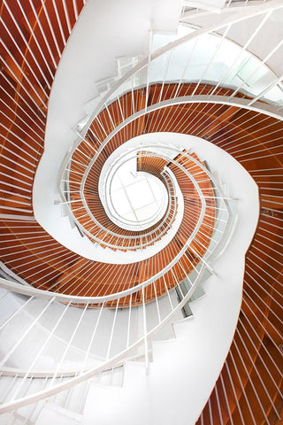 Untitled Black Ornate Wood Framed Art Print with Double Matting by Wang, Peiyin