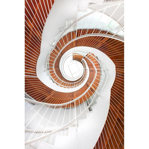 Untitled White Modern Wood Framed Art Print by Wang, Peiyin