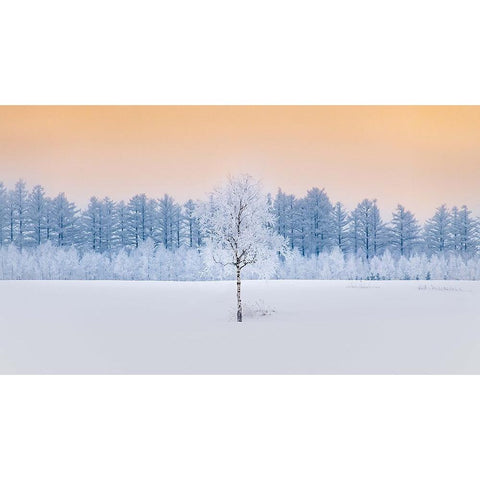 Guardian of the Angel Forest Black Modern Wood Framed Art Print by Sono, Hidenori