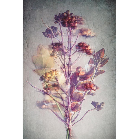 Before Winter Black Modern Wood Framed Art Print by Kiral, Cicek