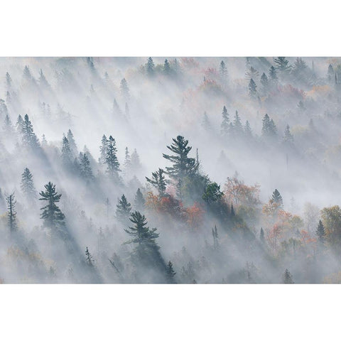 The Fog of Silence, The Fog of Illusion Gold Ornate Wood Framed Art Print with Double Matting by Zhao, Jennifer