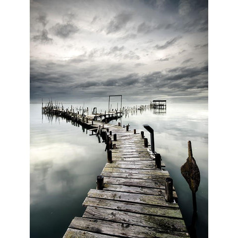 Choose Your Path White Modern Wood Framed Art Print by Dias, Paulo