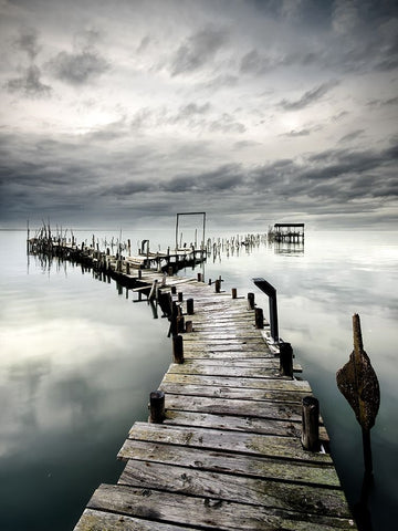 Choose Your Path Black Ornate Wood Framed Art Print with Double Matting by Dias, Paulo