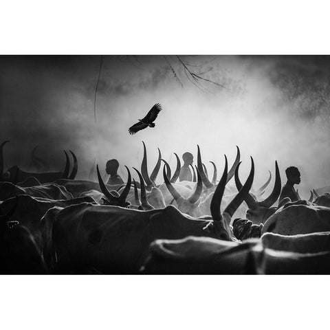 The Shadows Of Mundari Black Modern Wood Framed Art Print with Double Matting by Yosifov, Svetlin