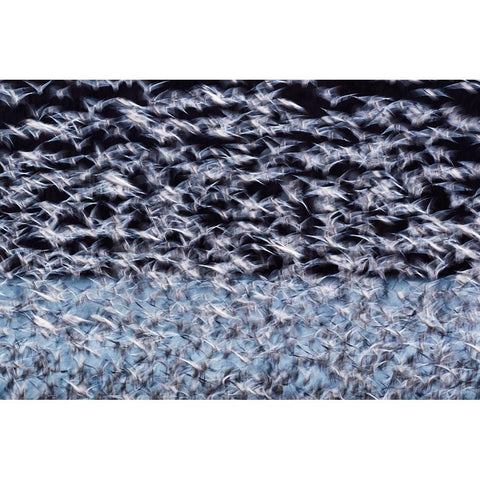 To the Arctic Black Modern Wood Framed Art Print with Double Matting by Guo, Liwen