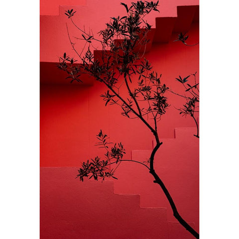 Muralla Roja #14 White Modern Wood Framed Art Print by Wride, Linda