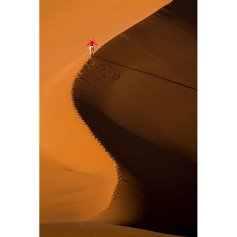 Sossusvlei Vlei In Namibia Gold Ornate Wood Framed Art Print with Double Matting by Jonsson, Mats