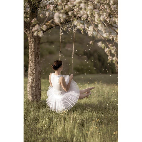 Cherry Tree Swing White Modern Wood Framed Art Print by Graf, James