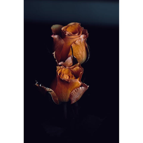 DA-FOOKN-FLOWERS-EH White Modern Wood Framed Art Print by Flores, David