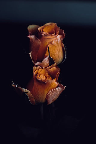 DA-FOOKN-FLOWERS-EH Black Ornate Wood Framed Art Print with Double Matting by Flores, David