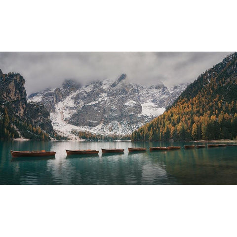 Follow the Leader Black Modern Wood Framed Art Print with Double Matting by De Franzoni, Thomas