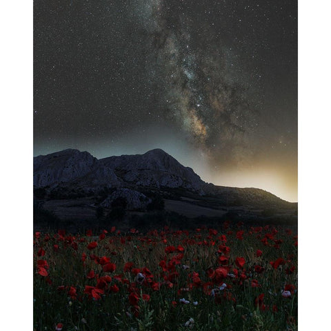 The light pollution Gold Ornate Wood Framed Art Print with Double Matting by Del Puerto, Javier