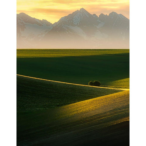Spring sunset Gold Ornate Wood Framed Art Print with Double Matting by Ilkovic, David