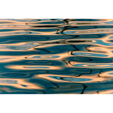 Ripples Gold Ornate Wood Framed Art Print with Double Matting by Xu, Mei