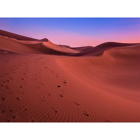 The colors of the desert at sunset Black Modern Wood Framed Art Print with Double Matting by Miroslaw