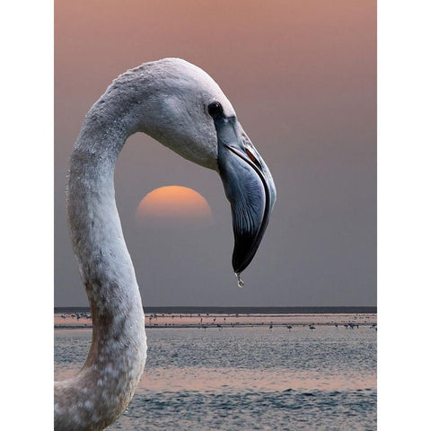 This Is My World White Modern Wood Framed Art Print by Guillemot, Mathilde