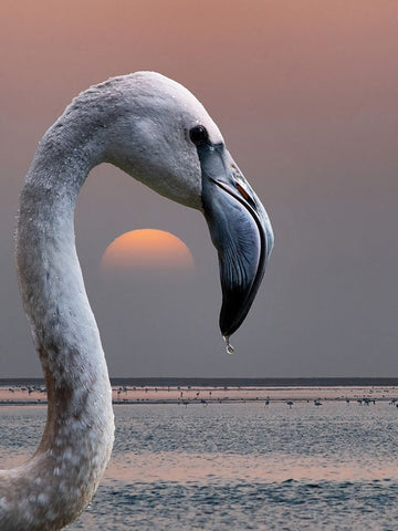 This Is My World White Modern Wood Framed Art Print with Double Matting by Guillemot, Mathilde