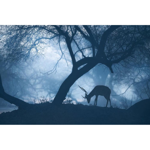 Misty Winter Morning Black Modern Wood Framed Art Print with Double Matting by Guha, Jayanta