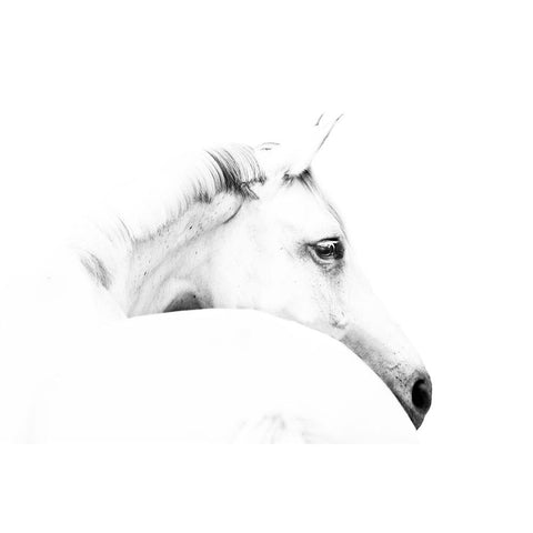 horse and minimalism White Modern Wood Framed Art Print by Leinemann, Ulrike