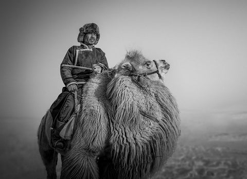 Farmer and His Camel White Modern Wood Framed Art Print with Double Matting by Yu Wu, Irene